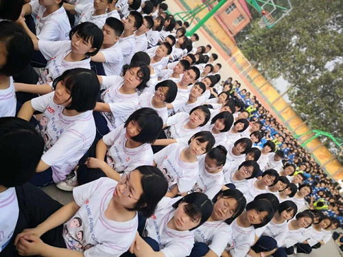 难忘的校园时光，难忘的校园记忆作文500字