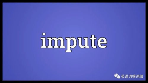 imputes，impute to