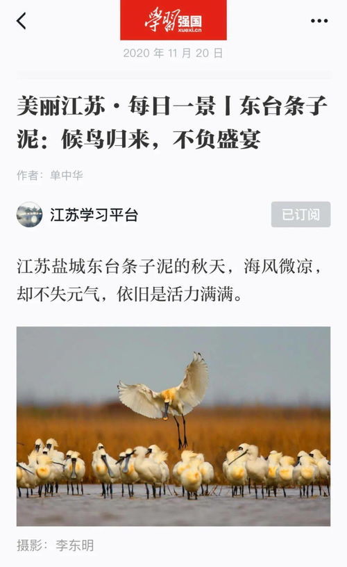 无虞怎么读什么意思