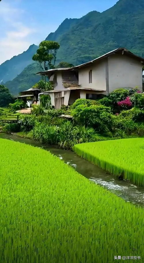 田园风景绘画，田园风景油画