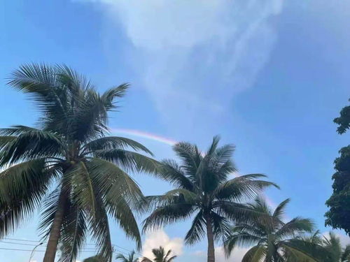 明德惟馨什么意思成语，明德惟馨的典故