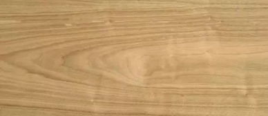 一个木字和一个差组成得字读什么?