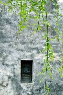 无题·飒飒东风细雨来原文_翻译及赏析