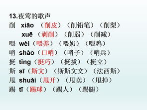 鹤组词组，经组词