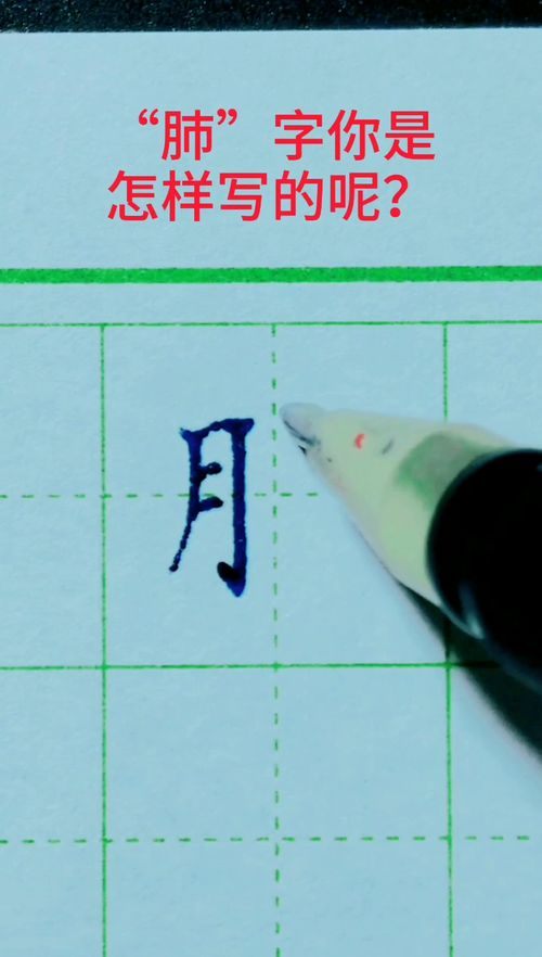 肺字怎么写的视频，肺字怎么写心肺的肺