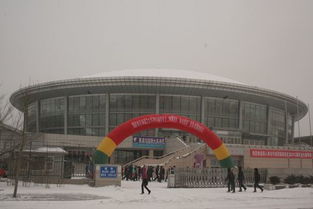 哈尔滨理工大学物理研究生就业去向如何?