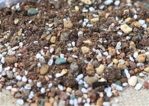 土壤类型有哪些