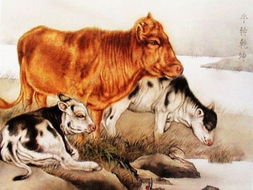 属牛的人都是哪年出生