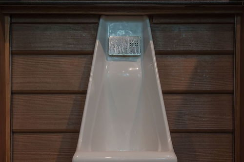 院的组词，院的组词和拼音