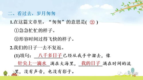 珍惜时间的词语