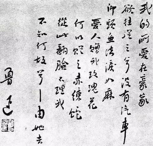 鲁迅的诗句寄意寒星荃不察，鲁迅的诗句情愿作野草等着地下的火烧