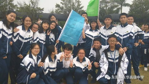 我们的队伍向太阳歌词，我们的队伍越来越壮大句子