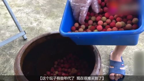 果脯蜜饯是什么东西，蜜饯是什么东西弄的