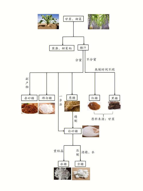 麦芽糖的化学式