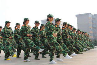 军训感想600字作文，军训感想600字初一