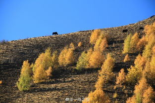 理塘县城海拔多少米
