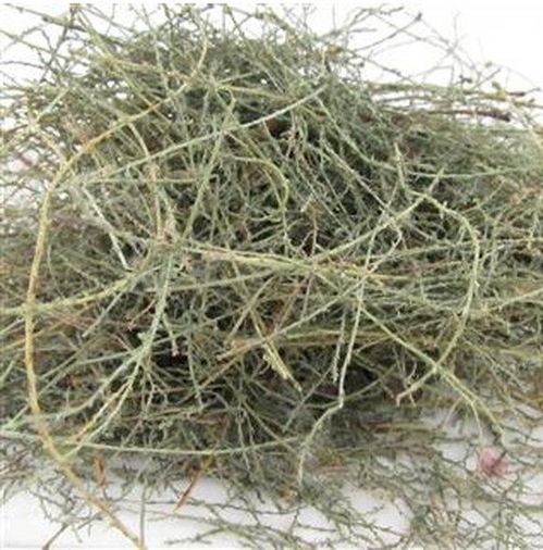 西河柳有什么功效?