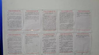 敬老院做志愿者感想