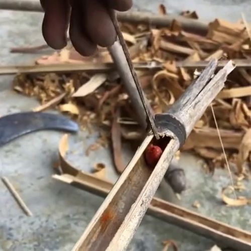 什么的竹竿什么的微风什么的竹笋什么的雨丝?