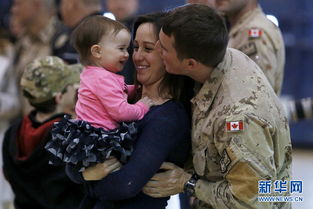 回国团圆是什么字，回家过个团圆年