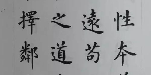 书法家的故事20字，书法家的故事100字