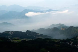 丹山市是哪个省份的