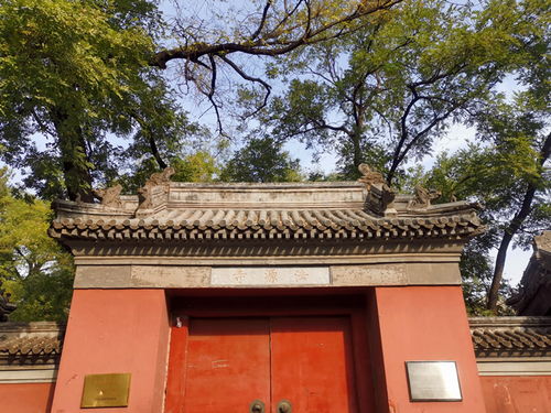 北京法源寺是求什么的