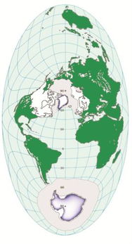 offer是什么意思，offershow官网