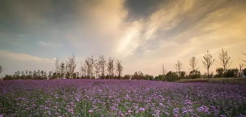 春水碧如蓝打一地名猜地名，春水碧如蓝打一个地名
