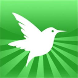 mice怎么读，mice中文翻译