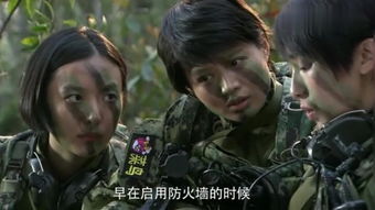 我是特种兵3之火凤凰48集，我是特种兵3之火凤凰珍藏版