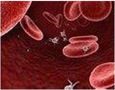 老年低钠血症简介