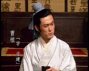 陈王指的是谁，陈王刘宠