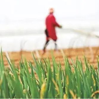 土壤墒情是什么意思?具体是指什么?