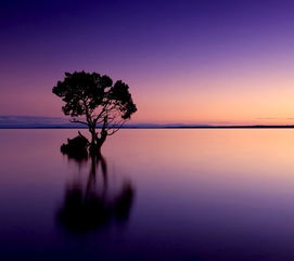 517论坛结伴同游，结伴同游互拍照打三个数字