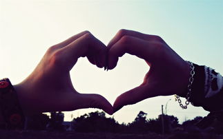 情的成语有哪些