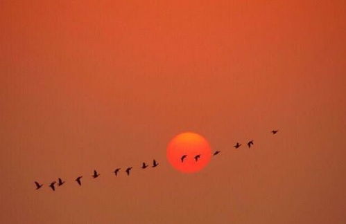 暖和的正确读音