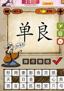 随字有什么成语