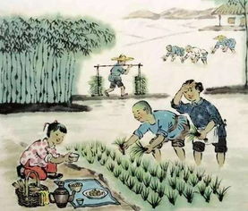 耘田的意思是不是犁地，耘田是个词吗