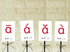 刑。是什么意思