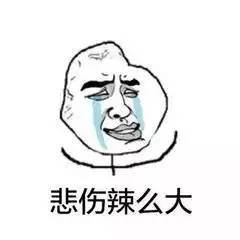 发蒙和发懵，发蒙振聩的意思