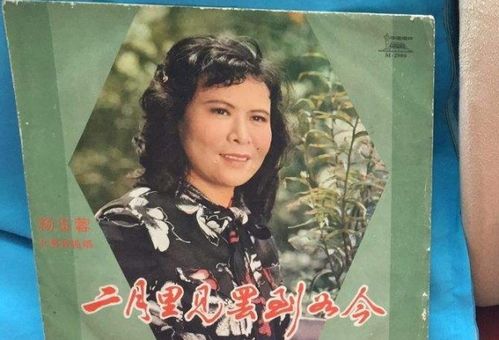 二月里见罢到如今歌词，牵牛儿开花羊跑青,二月里见罢到如今