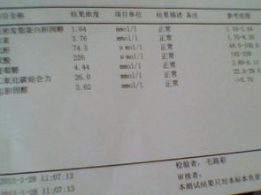 请问:怎样才能打印化验报告单。