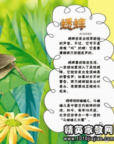 昆虫记的读后感五篇