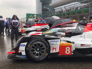 race中文是什么意思