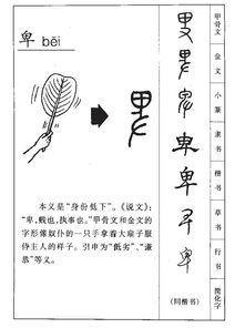 “卑”的读音是什么?