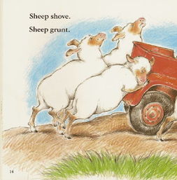 英语(羊sheep)怎么读