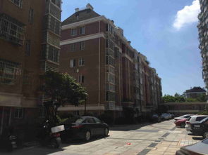 小城春秋电影，小城春秋简介