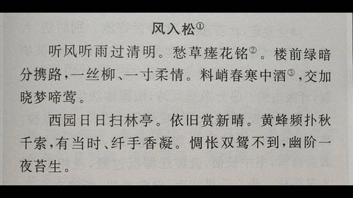 风入松吴文英翻译，风入松吴文英译文