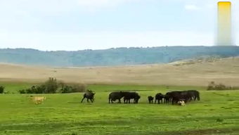十冬腊月指的是几月，十冬腊月打一个准确数字